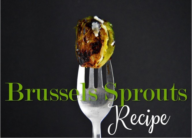 Brussels sprouts recipe for a tasty, savory dish. Healthy vegetable side dish with balsamic vinegar glaze. Ingredients + directions for pan frying.