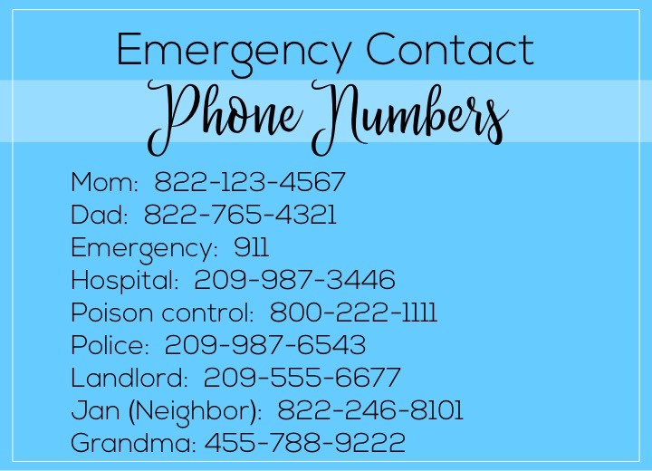 A list of things to leave the babysitter if they're watching a toddler. Babysitter essentials include: emergency contact phone numbers.