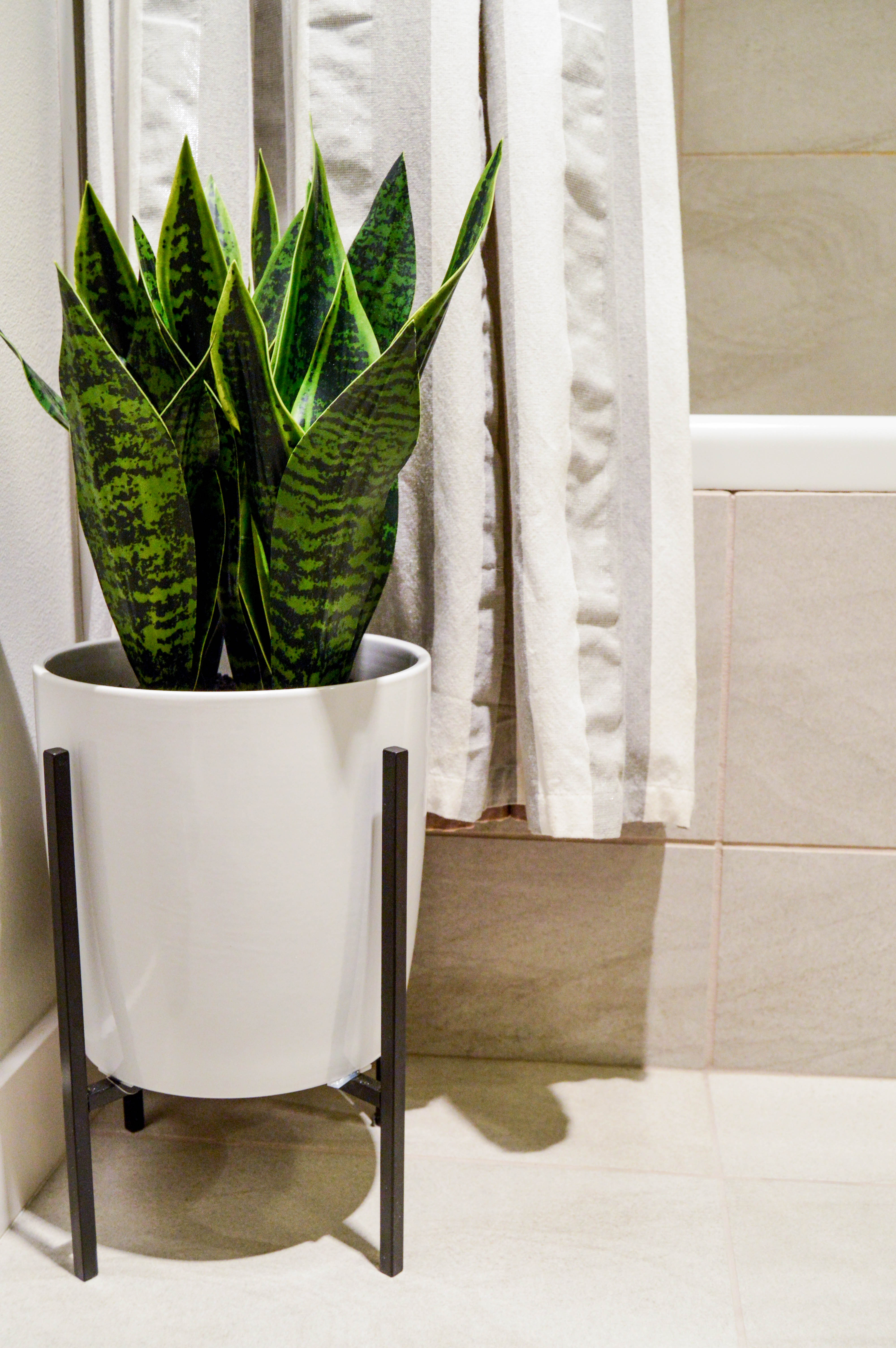 Faux or real plants: Bathroom Summer Refresh