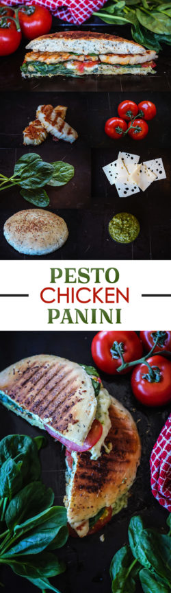 Deli-Style Chicken Pesto Panini - a sandwich recipe