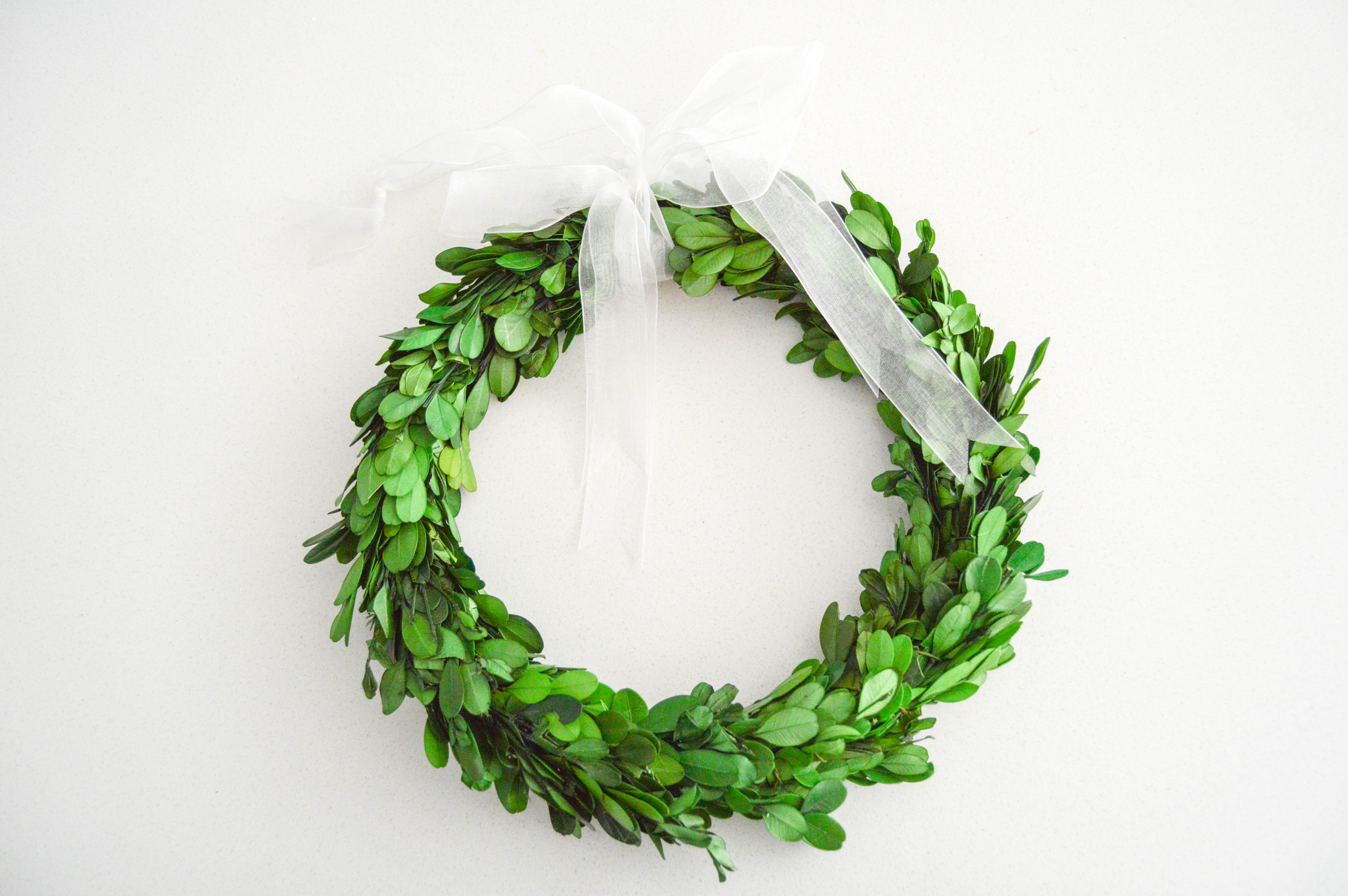 How to make a St Patricks Day boxwood wreath
