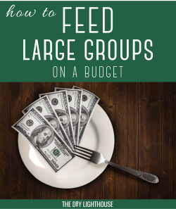 feed large groups on a budget