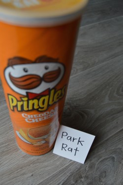 Ski Lingo Matching Game Prize for Winner: Park Rat (Cheddar Cheese Pringles)