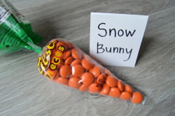 Ski Lingo Matching Game Prize Loser: Snow Bunny (Reeses Pieces Carrot Bag)