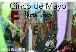 cinco de mayo party ideas