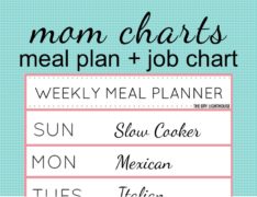 Mom chart! Job chart cleaning schedule and meal plan chart. Great for organizing and planning jobs, dinner, activities, etc. A must for stay-at-home moms with their kids!