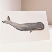 mr. whale watercolor greeting card
