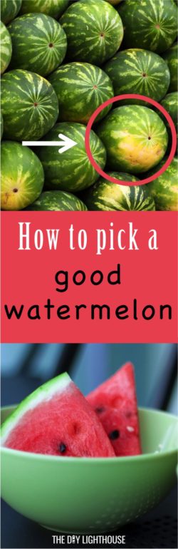 how to pick a good watermelon | tips and tricks for picking out a ripe watermelon