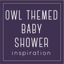 owl baby shower