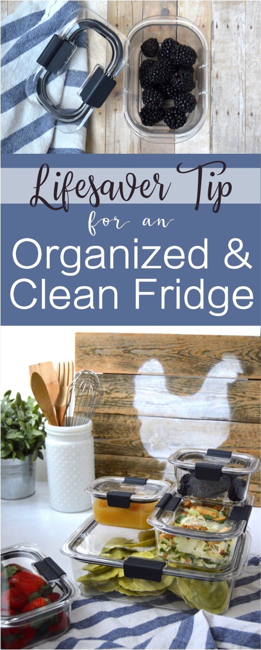 https://thediylighthouse.com/wp-content/uploads/2017/02/Tip-for-an-Organized-and-Clean-Fridge-Tips-for-fridge-organization-the-best-food-storage-containers.jpg