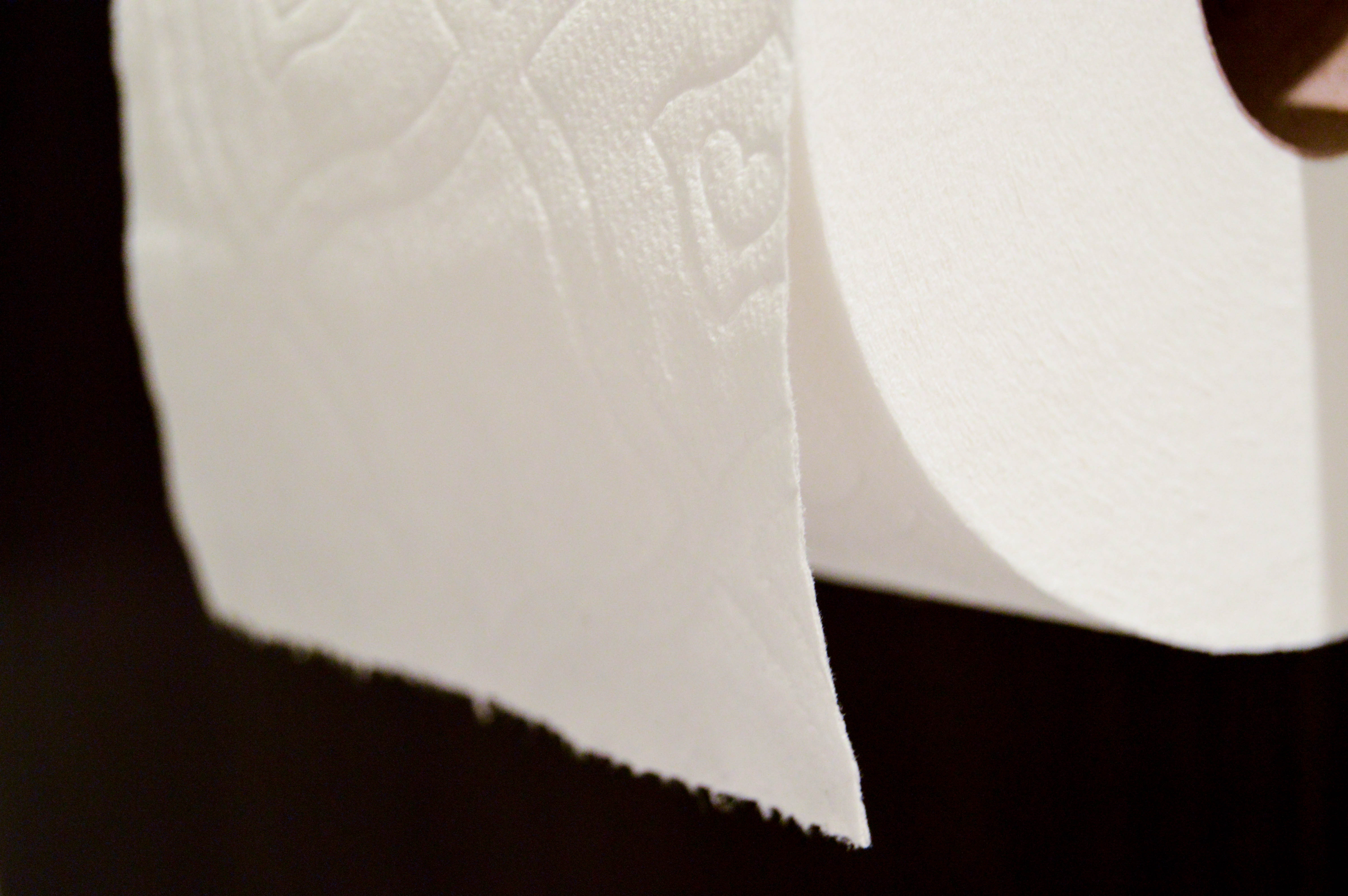 Quilted Northern toilet paper: Bathroom Summer Refresh