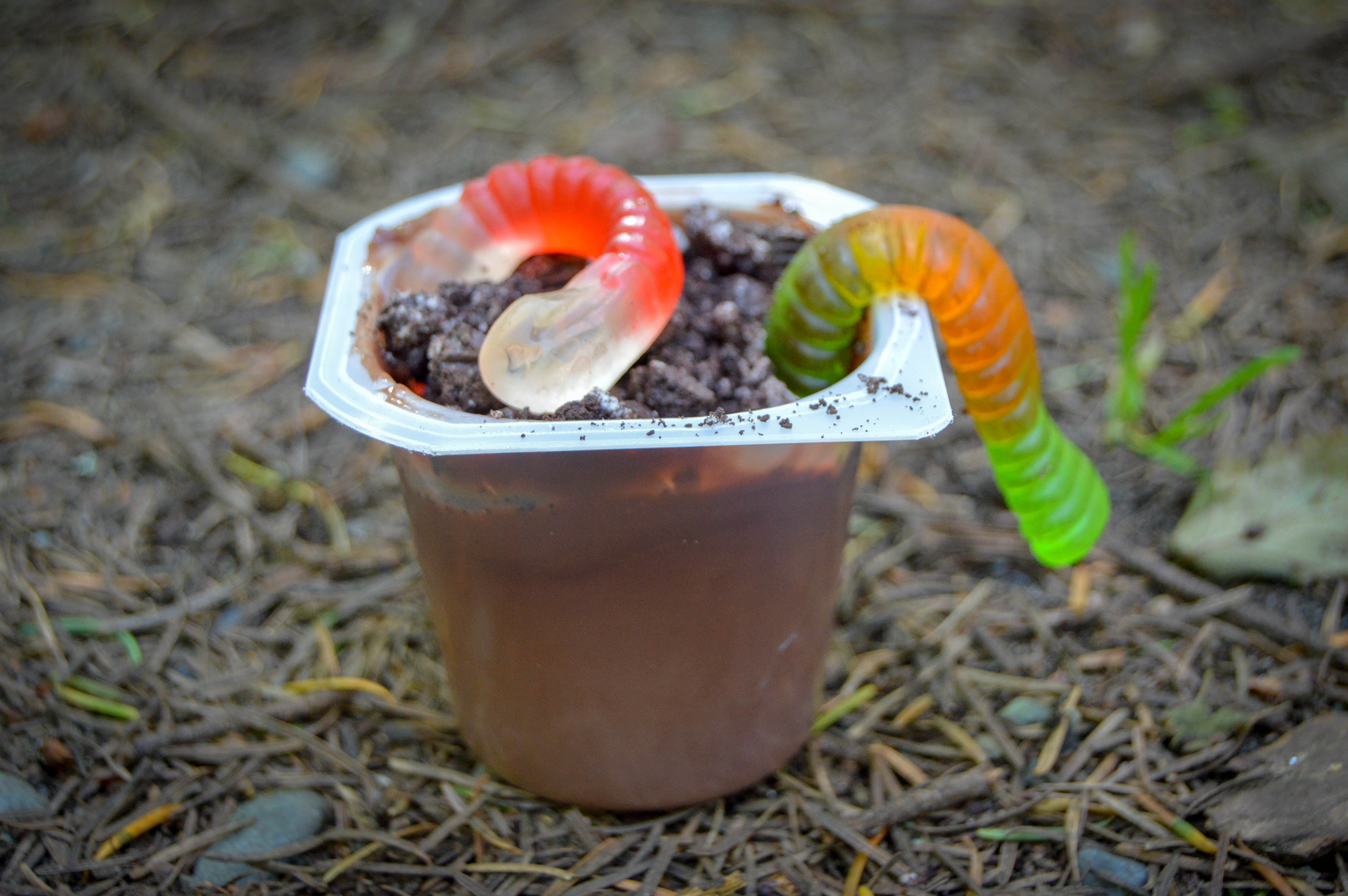 Fun Camping Activities for Toddlers #8 - Make dessert dirt cups