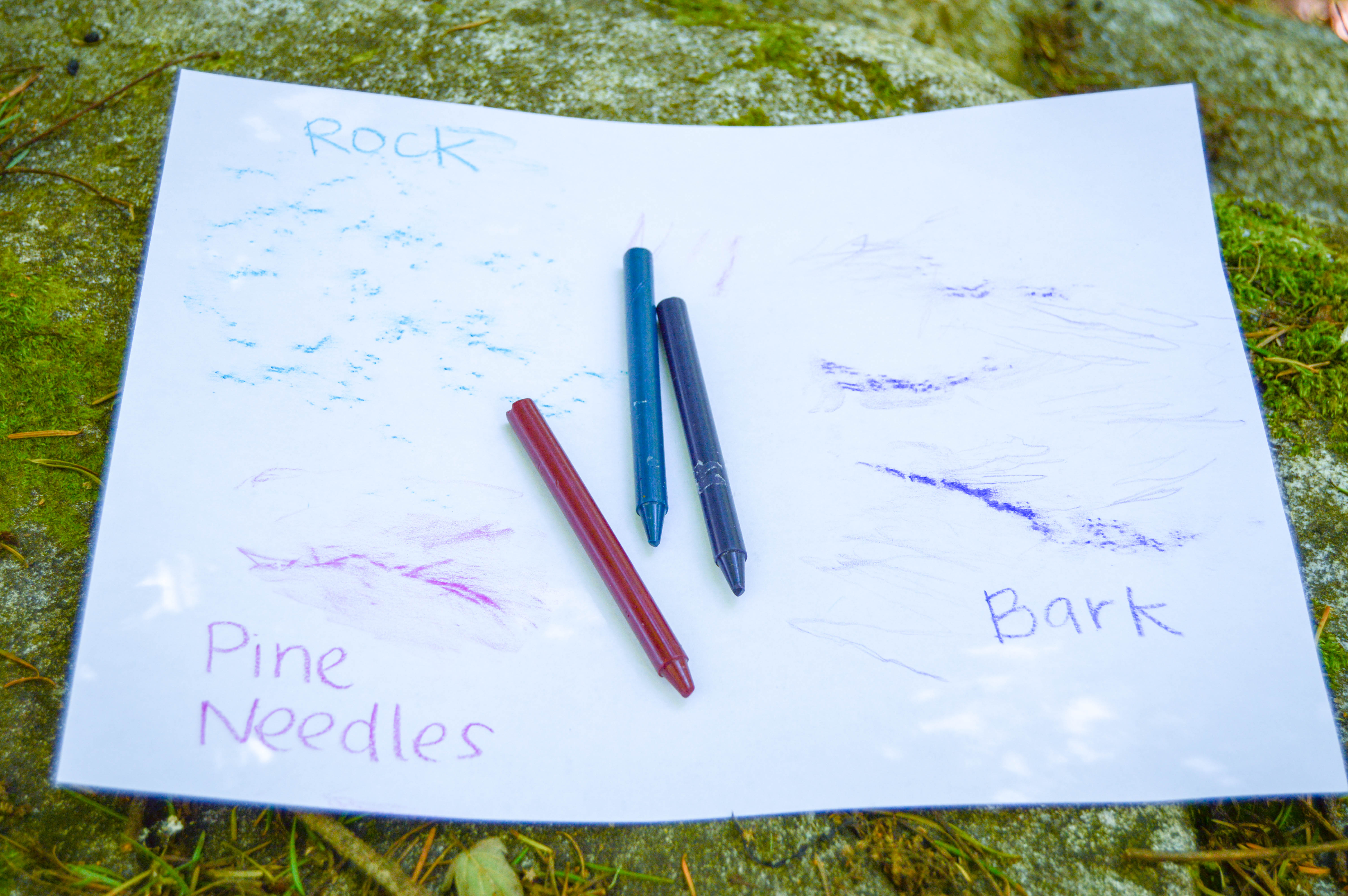 Fun Camping Activities for Toddlers #9 - Do bark and leaf rubbings