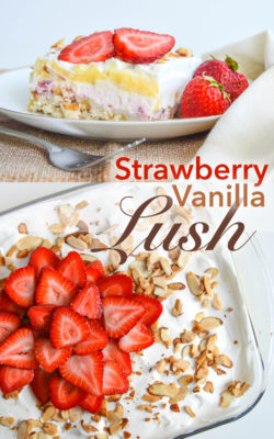Strawberry vanilla lush is a crust, cream cheese cheesecake, pudding, and whipped cream layered dessert. This 9x13 pan chilled treat recipe is perfect for a big group. Delicious, yummy, creamy, crunchy, dessert idea. Beautiful layers with pink, yellow, white colors. Fresh strawberries and toasted almonds for garnish. Great big group pan dessert.