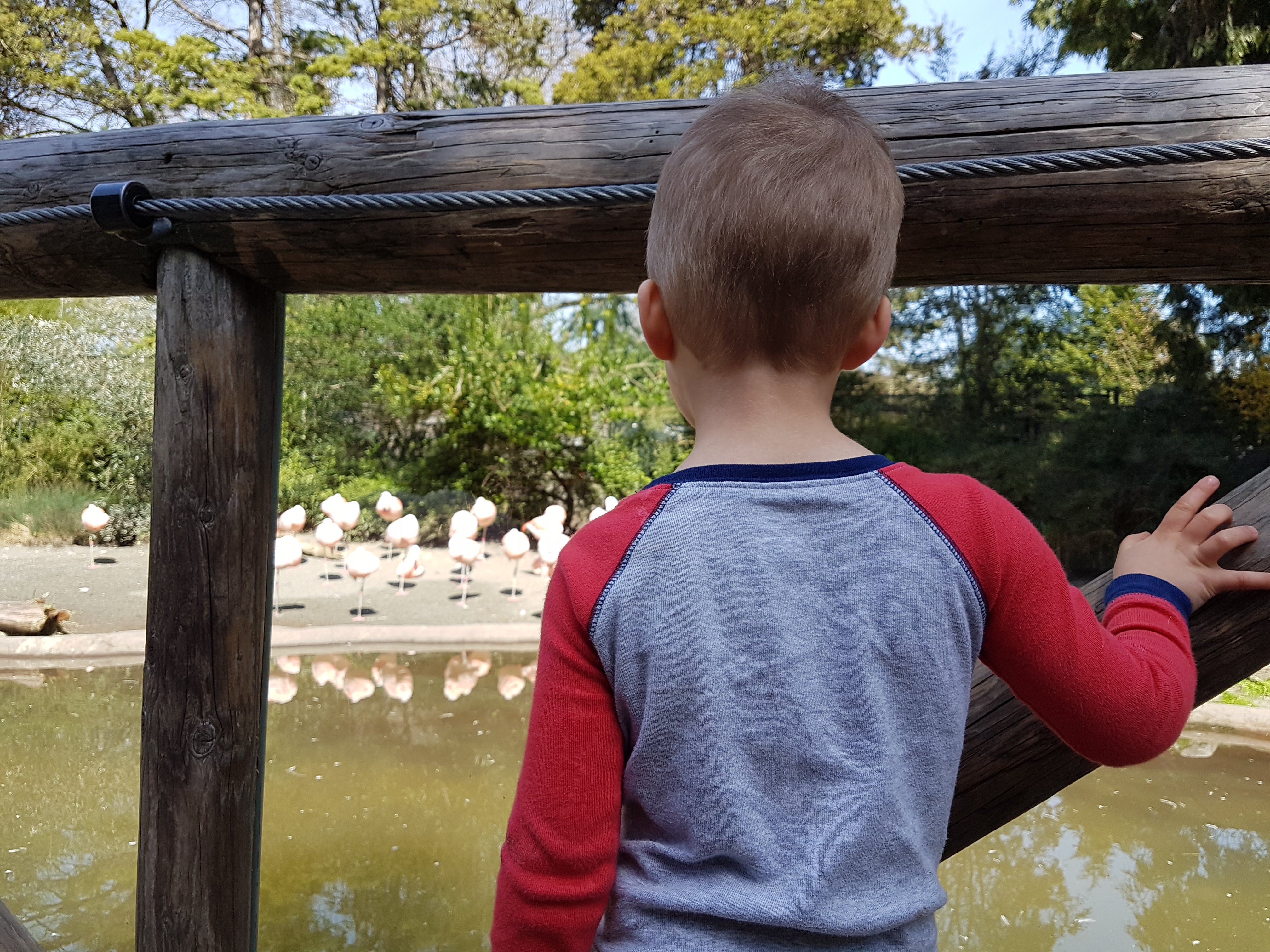 Woodland Park Zoo - Top Outdoor Kid Spots in Seattle