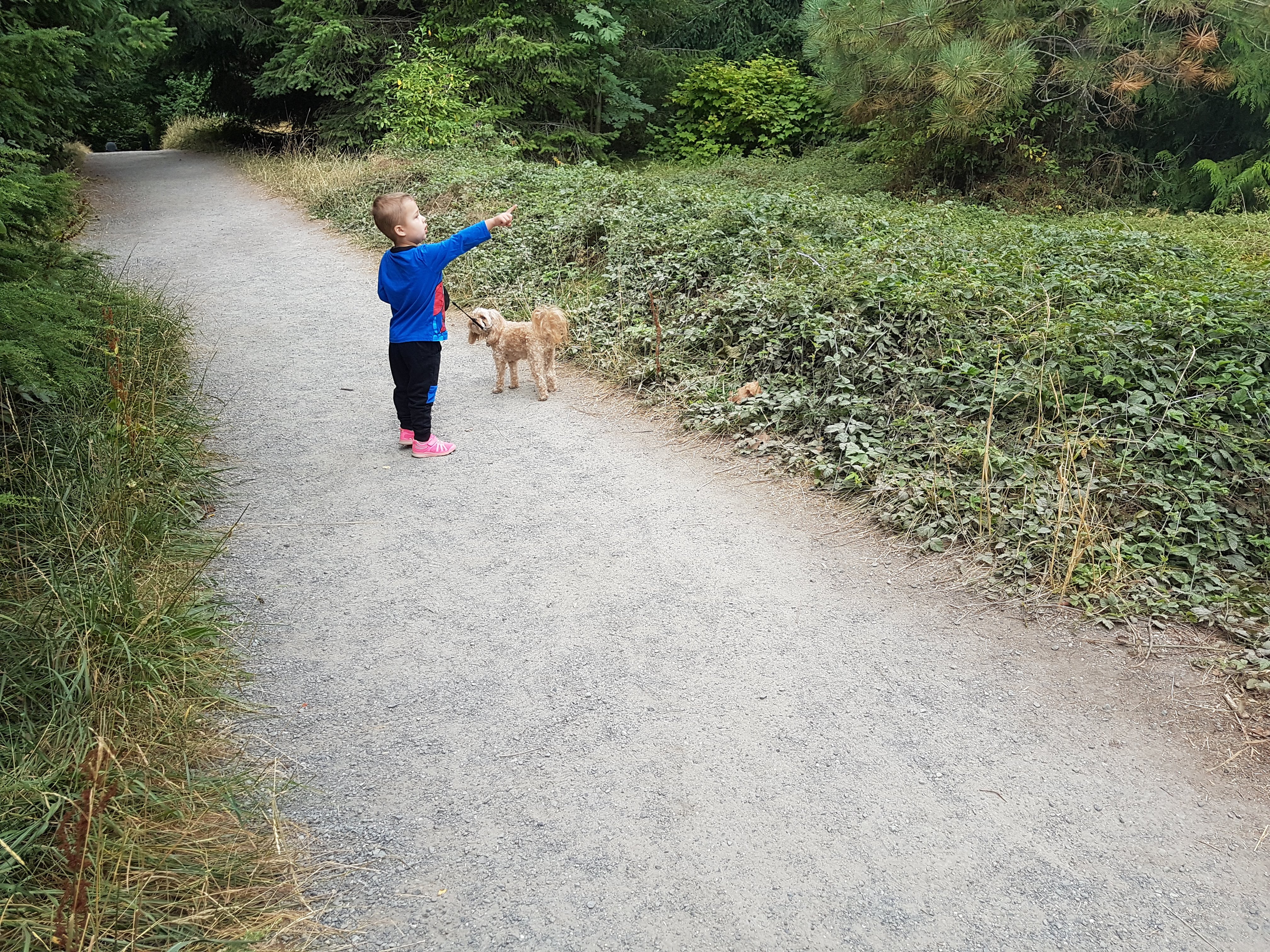 Discovery Park - Top Outdoor Kid Spots in Seattle