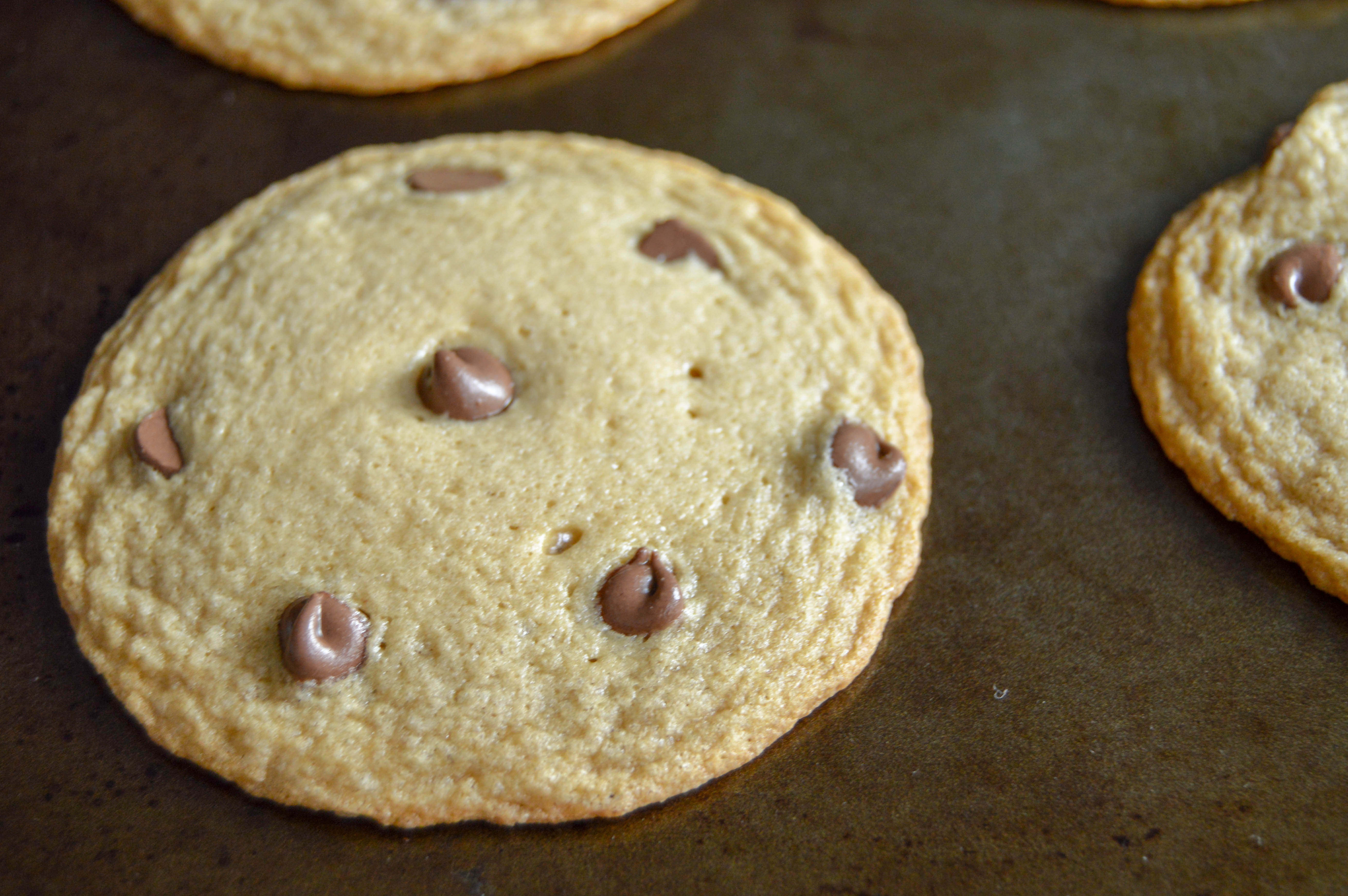 Milk chocolate chip cookies with a golden brown edge and gooey middle.