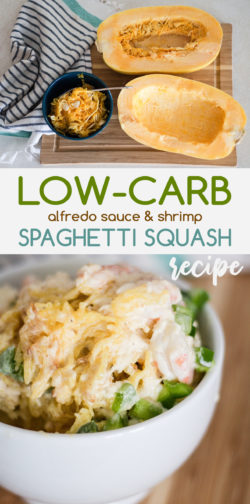 Low Carb Alfredo & Shrimp Spaghetti Squash Recipe for Diabetics or Keto Diet