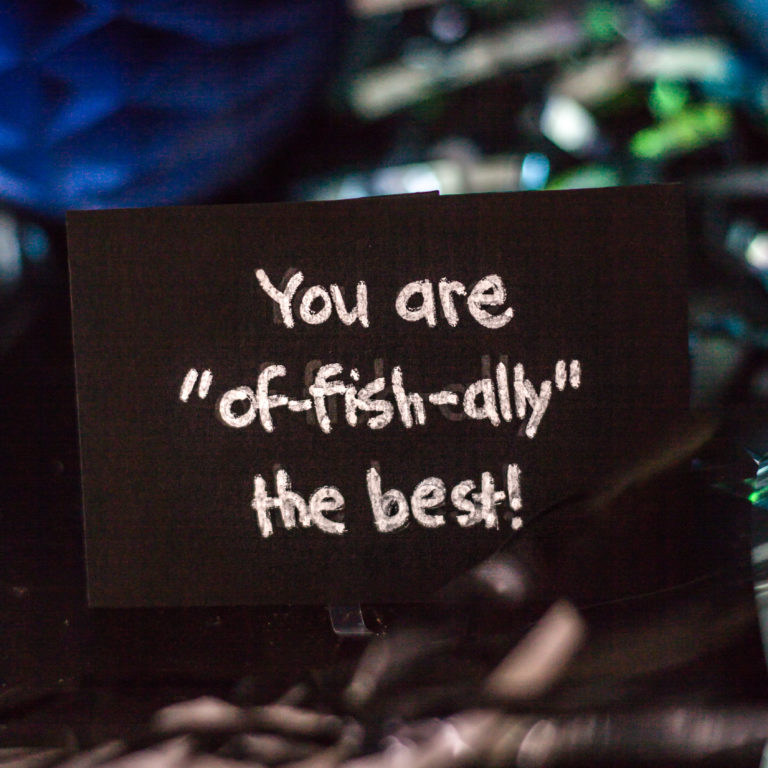 fishing-themed father's day gift basket