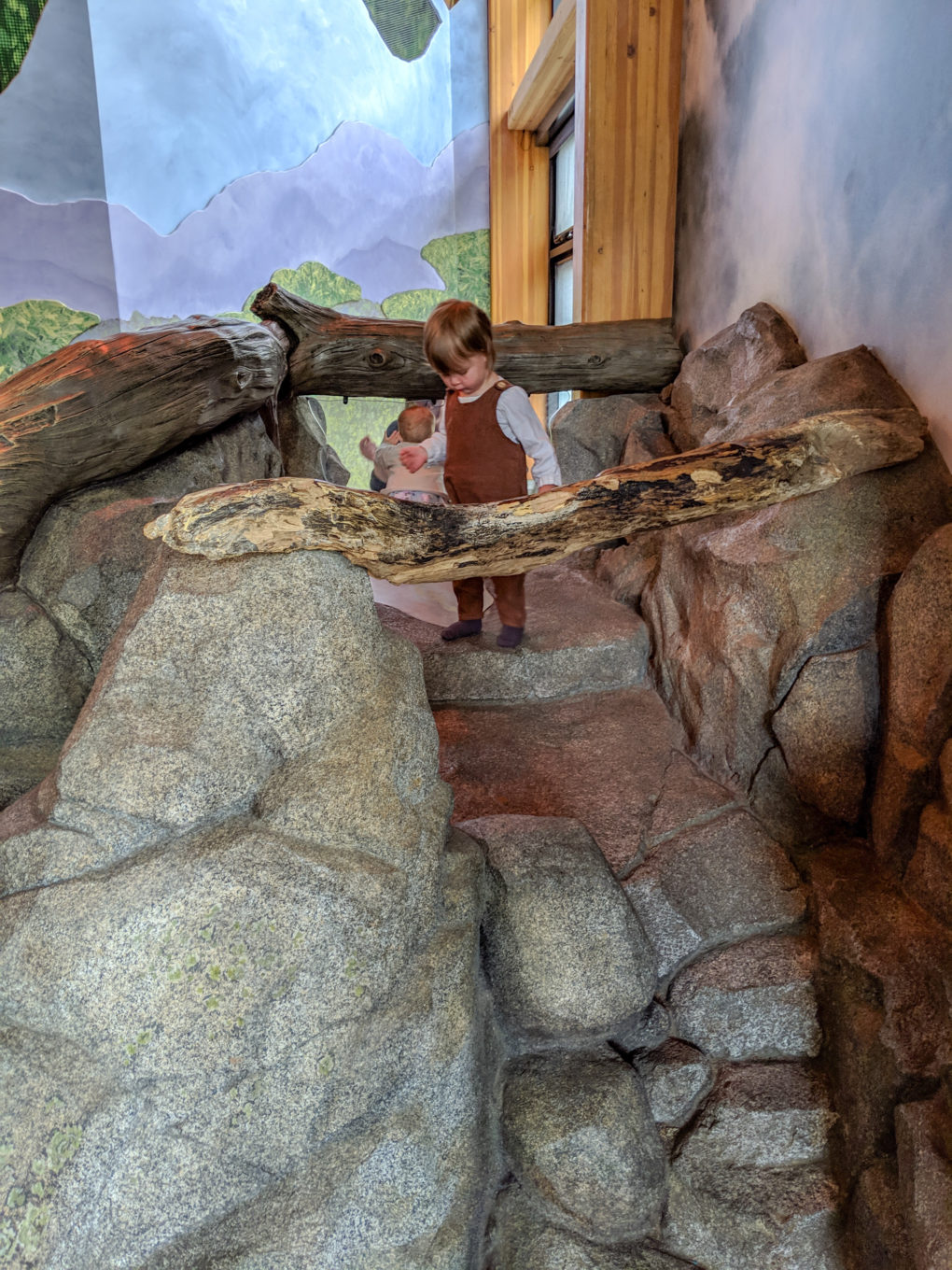 Woodland Park Zoo - How to visit Seattle with kids on a 3 day trip. Fun activities to do and where to eat.
