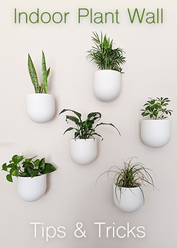 How to make a DIY indoor plant wall with white boho, modern ceramic planter pots. Hang a feature wall statement piece with easy real indoor house plants.