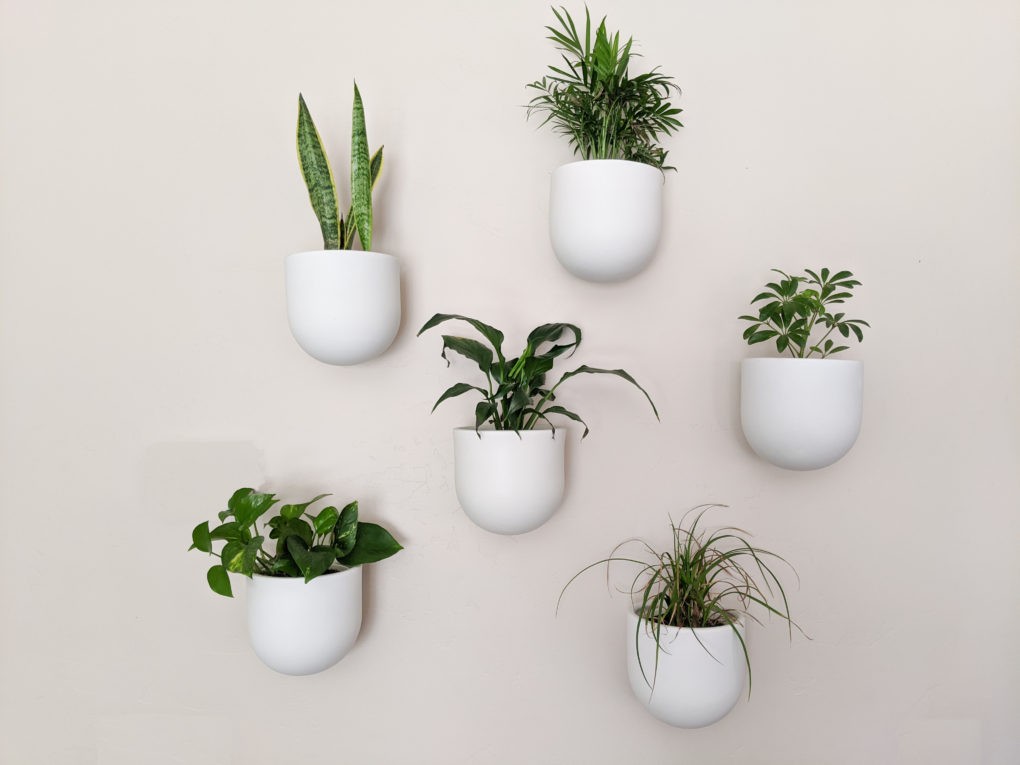 Indoor Plant Wall Modern Boho Planter Pots The Diy Lighthouse - What To Plant In Wall Planters