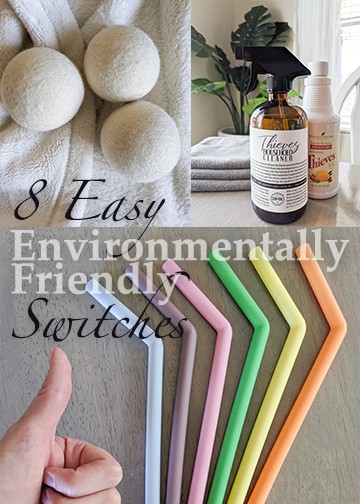 Environmentally friendly switches to use less single-use plastic bags, plastic wrap, dryer sheets, water bottles, grocery bags, etc. Instead, use reusable ideas like dryer balls, toxic free cleaning products, food containers, etc. Here are tips for ways to be eco friendly.